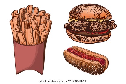 Vector set of fast food on white isolated, junk food elements. French fries, burger,hot dog