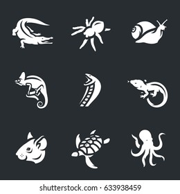 Vector Set of Fauna Icons.
