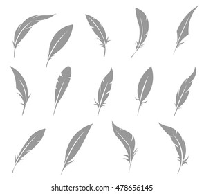 Vector set of feather isolated on white background.