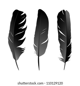 Vector set of feather on white background