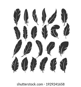 Vector set of feather on white background