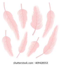 vector set of feathers on isolated background