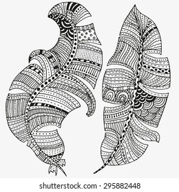 Vector set of feathers on a white background. Vintage, tribal, artistically drawn, stylized, feather. Sketch by trace.