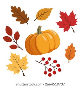Vector set featuring a collection of autumn elements, colorful fall leaves and pumpkin. For seasonal design projects, Thanksgiving graphics, invitations, packaging, and autumn-themed decorations. 