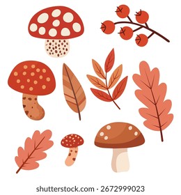 Vector set featuring a collection of autumn elements, colorful fall leaves and mushrooms. For seasonal design projects, Thanksgiving graphics, invitations, packaging, and autumn-themed decorations. 