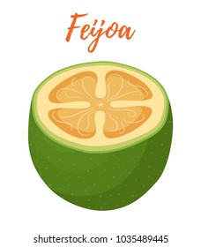 Vector set of feijoa, slice of tropical fruit, exotic ripe plant. Healthy sweet organic food. Made in cartoon flat style