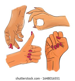 Vector set of female asian hands and gestures. Woman hand collection - stock sketch line illustration isolated on white background. Thumbs up, snapping finger, ok, clenched fist.