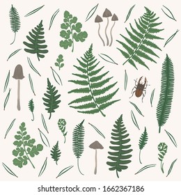 Vector set with fern leaf, mushrooms, pine needles and stag-beetles on light background.