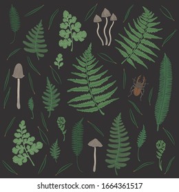 Vector set with fern leaf, mushrooms, pine needles and stag-beetles on dark background.