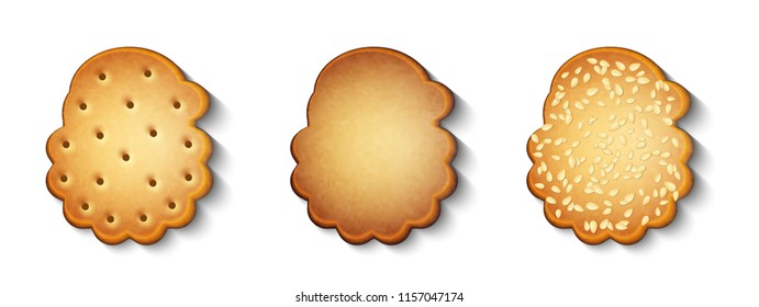 vector set of festive ginger biscuits with sesame seeds isolated on white background