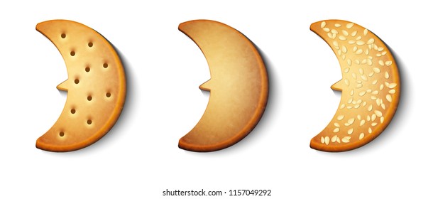 vector set of festive ginger biscuits with sesame seeds isolated on white background