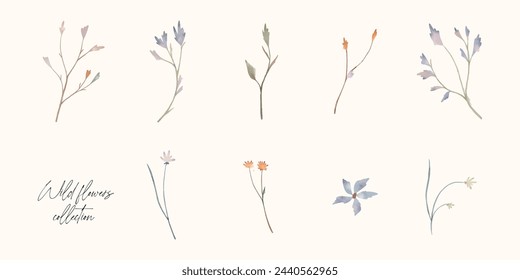 Vector set of filed flowers isolated. Botanical elements hand drawn in watercolour style. Scrapbooking, stickers, notebook design