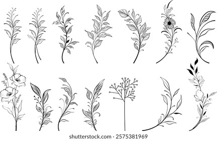 Vector set of fine line flowers. Doodle ornamental floral elements, nature botanical leaves and branches