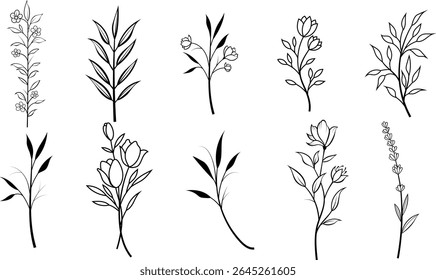 Vector set of fine line flowers. Doodle ornamental floral elements, nature botanical leaves and branches