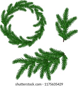 Vector set of fir branches as a design element.