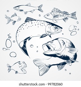 vector set: fish