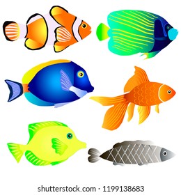 Vector set of fish, colorful aquarium fish.