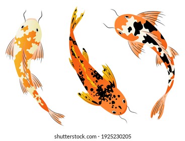 Juego de vectores de peces. Elementos de diseño, ilustración digital