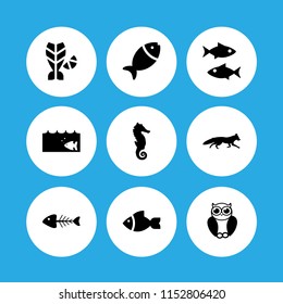 vector set. fish, seahorse, fox and bird illustration for web and graphic design