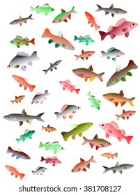 vector set: fish, shells and seafood 