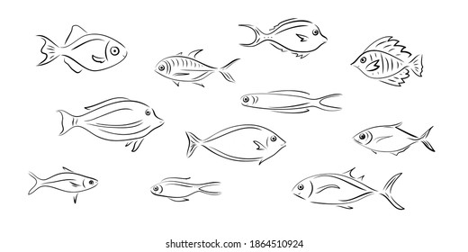 Vector set fish that represent various sea animals. Abstract decorative cute fish illustration in hand drawing or cartoon style. Graphic design elements for print and web.