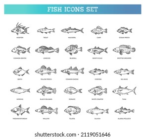 Vector set of fish. Types marine, ocean fish and Freshwater fish