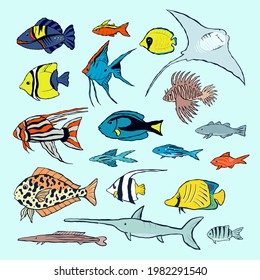 Vector set of fishes. Colorfull sea elements are isolated on blue. Beautiful underwater flora and fauna. Aquarium, ocean, and undersea water life in hand-drawn or cartoon style.