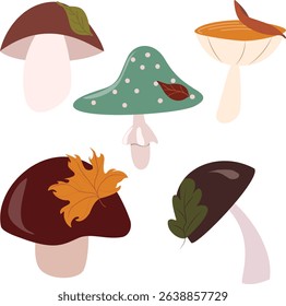 Vector set of five colorful cartoon mushrooms with a flat isolated design. Features varying shapes, shades of brown, green, red, and yellow, with autumn leaves.