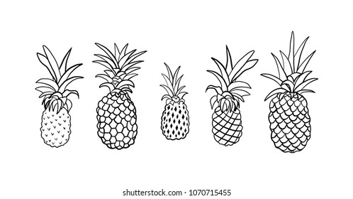 Vector set of five pineapple fruit doodle style. Tropical summer collection. Design for print on travel card, vacation shirt, etc Black and white illustration