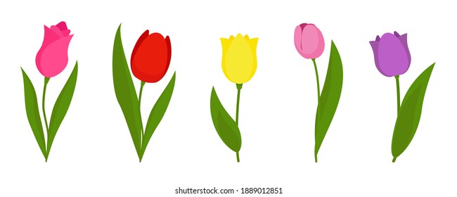 Pink Tulips Stock Vector (Royalty Free) 577350757 | Shutterstock