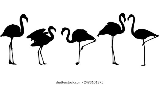 vector set of flamingo bird silhouettes