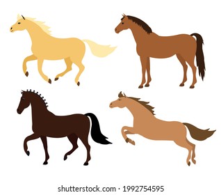 Vector set of flat cartoon hand drawn horse isolated on white background