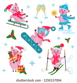 Vector set of flat Christmas pig in different situations - riding on a sled, carry gift box, riding a snowboard, skiers, skating. Funny porks isolated. Cartoon style.