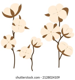 Vector set of flat cotton branch isolated on white background. Natural eco organic textile courses