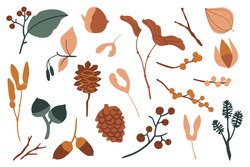 Vector Set Of Flat Floral Elements. Simple Autumn Collection. Flower Silhouettes Graphic Design. Seed, Pine Cone, Berries, Acorn, Leaves. Hand Drawn Vector Botany Set. Modern Fall Seasonal Decor