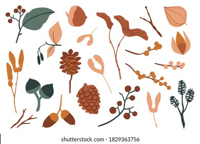 Vector set of flat floral elements. Simple autumn collection. Flower silhouettes graphic design. Seed, pine cone, berries, acorn, leaves. Hand drawn vector botany set. Modern fall seasonal decor