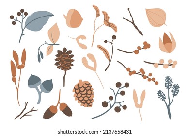 Conjunto vectorial de elementos florales planos. Simple colección de otoño. Diseño gráfico de siluetas de flores. Semilla, cono de pino, bayas, bellota, hojas. Conjunto de botánica de vector dibujado a mano. Decoración moderna de temporada