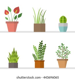 Vector set with flat flowers in pots