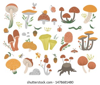 Vector set of flat funny mushrooms with berries, leaves and insects. Autumn clip art for children’s design. Cute fungi illustration with acorns and cones