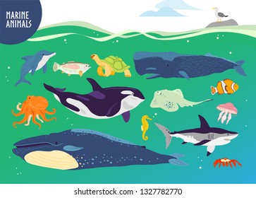 Vector set of flat hand drawn cute marine animals: whale, dolphin, fish, shark, jellyfish. Underwater wildlife. Goof for children alphabet, book illustration, infographics, banner, emblem, label etc.