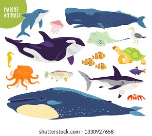 Vector set of flat hand drawn cute marine animals: whale, dolphin, fish, shark, jellyfish. Underwater wildlife. Good for children's alphabet, book illustration, infographics, banner, emblem, label etc.