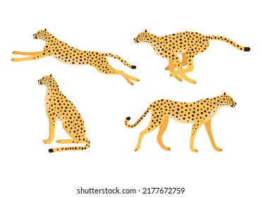 Vector set of flat hand drawn cheetah isolated on white background