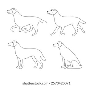 Vector set of flat hand drawn outline labrador dog isolated on white background