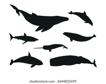 Vector set of flat hand drawn whales silhouette isolated on white background