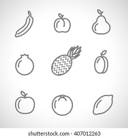 Vector. Set flat icons of fruits drawing lines on a white background