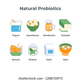 Vector Set Flat Icons Natural Probiotic Stock Vector (Royalty Free ...