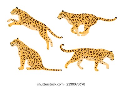 Conjunto vectorial de leopardo plano aislado en fondo blanco