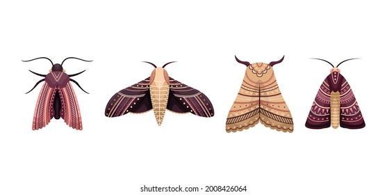 Vector set of flat moths in boho style. Flat illustration.