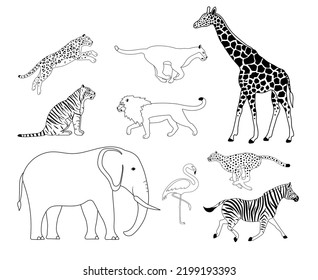 Vector set of flat outline african wild animals isolated on white background