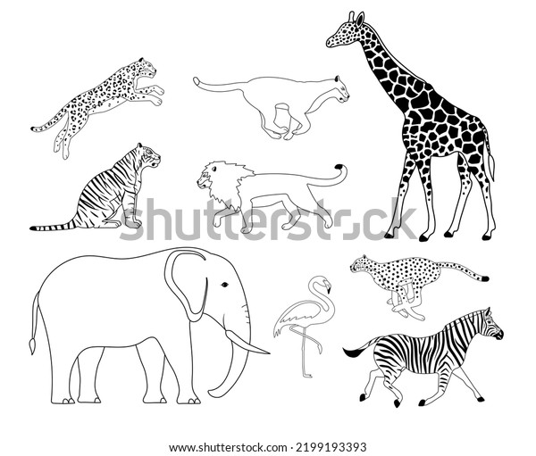 Vector Set Flat Outline African Wild Stock Vector (Royalty Free ...